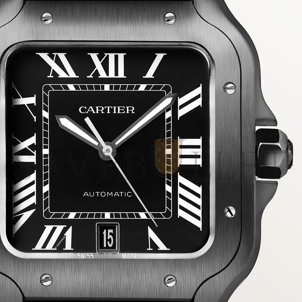 Ca*t*er santos de watch wssa0039